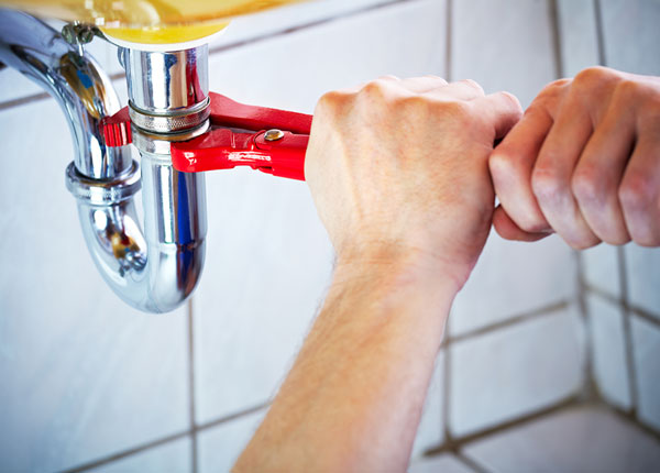 About Roy Plumbers